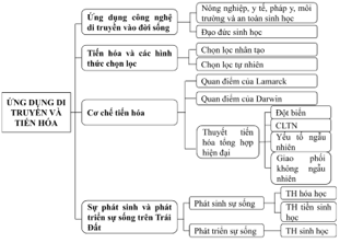 ÔN TẬP HỌC KÌ II